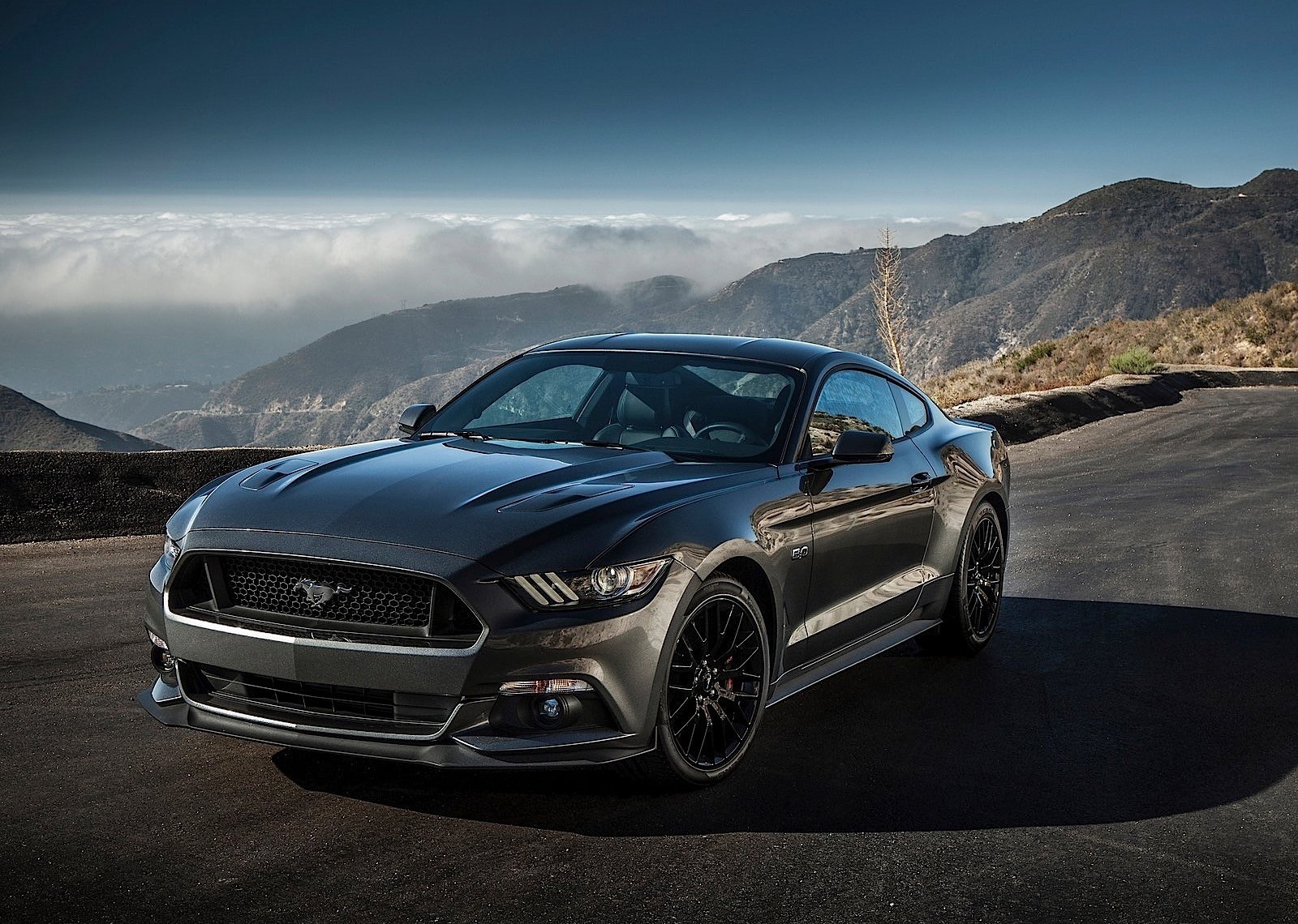 Ford Mustang photo 88