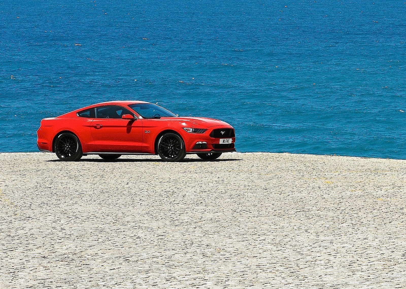 Ford Mustang photo 102