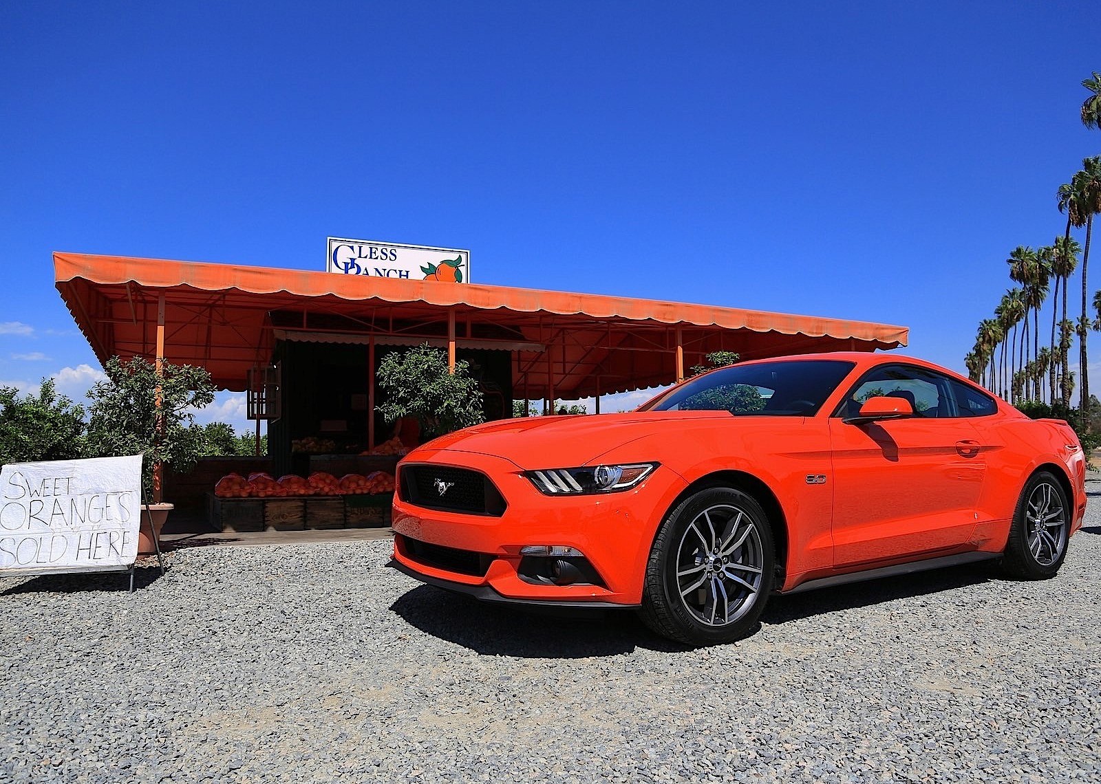 Ford Mustang photo 107