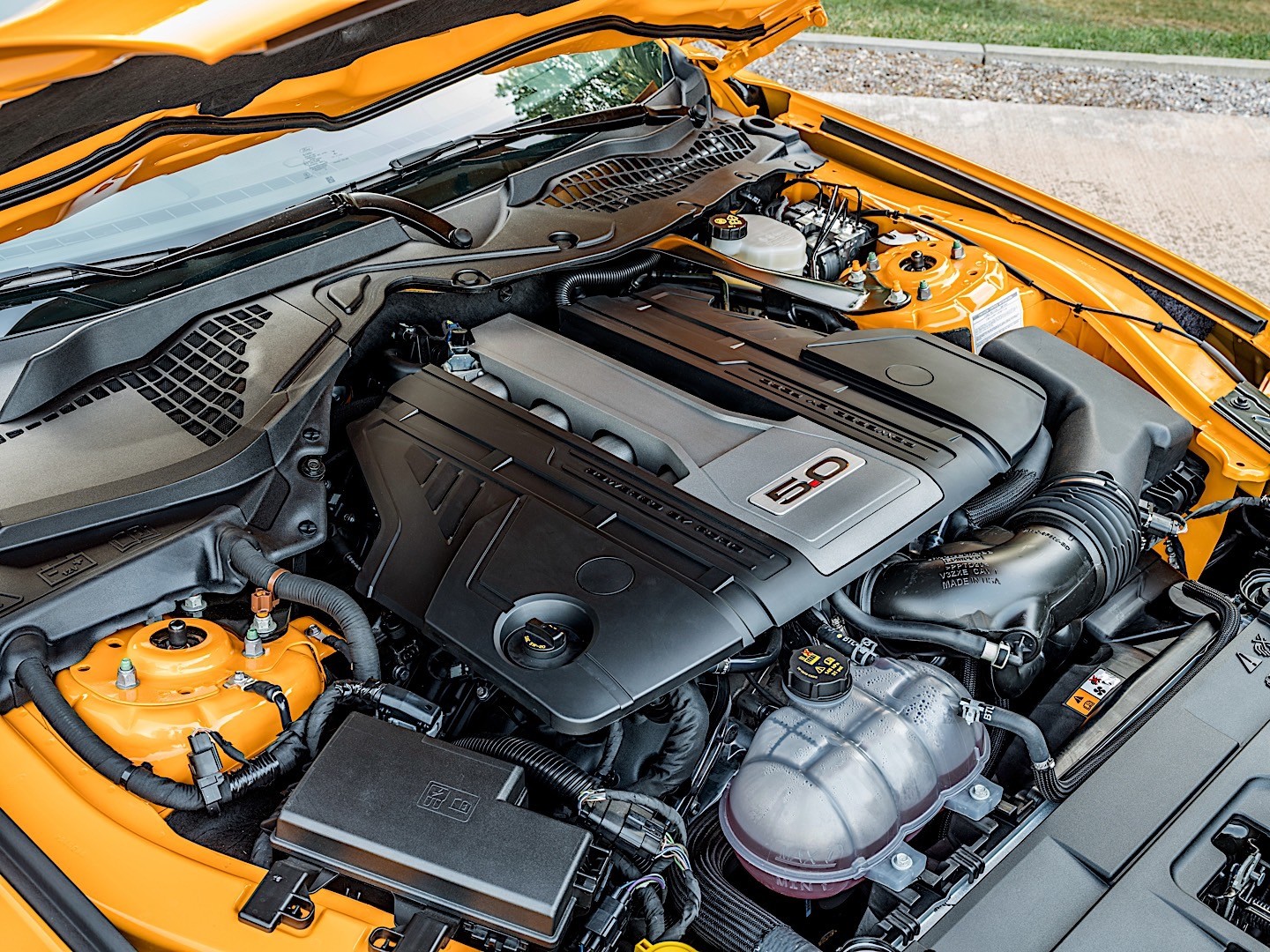 Ford Mustang photo 47