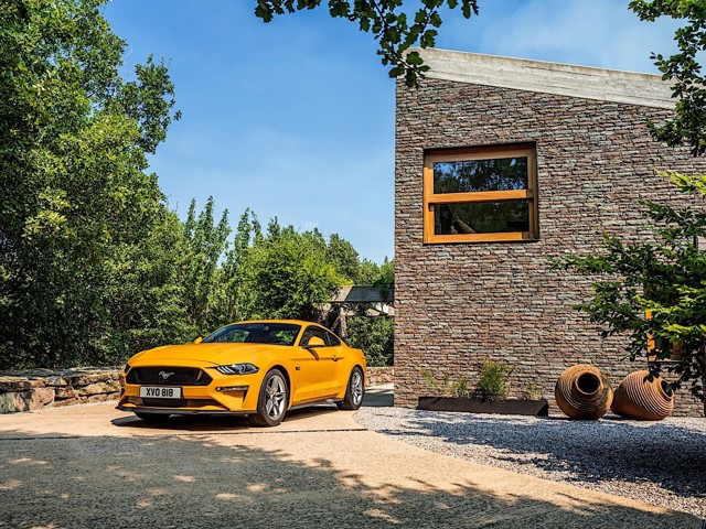Ford Mustang photo 11