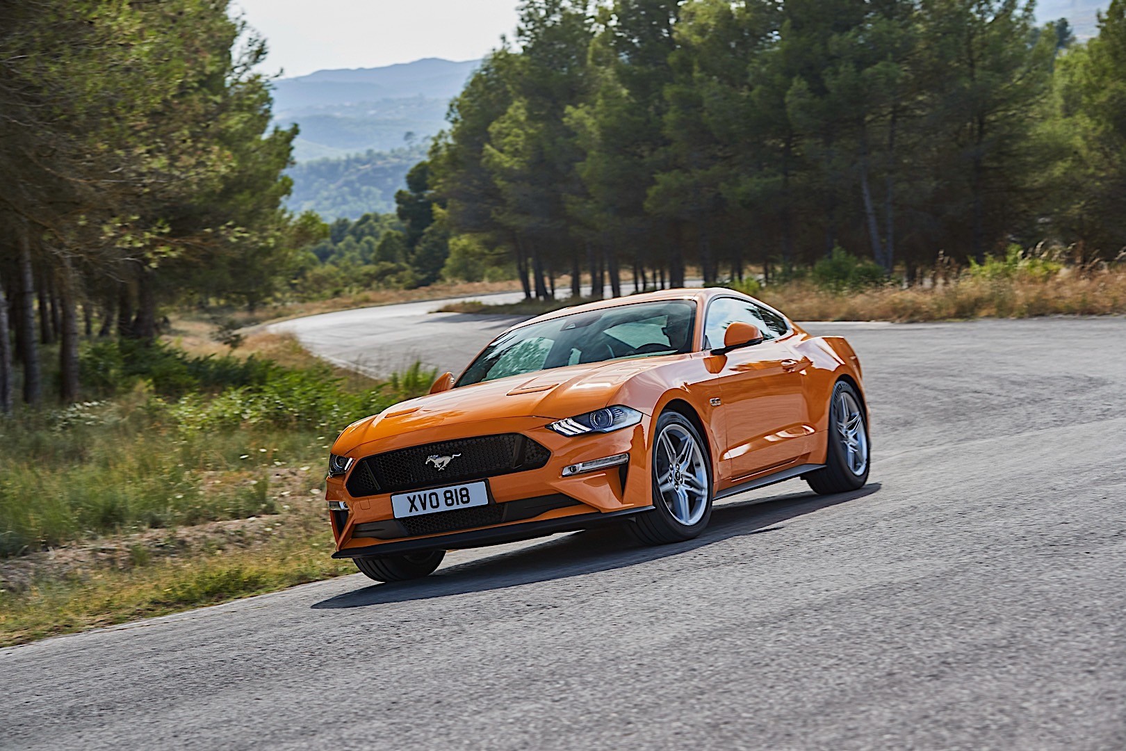 Ford Mustang photo 12