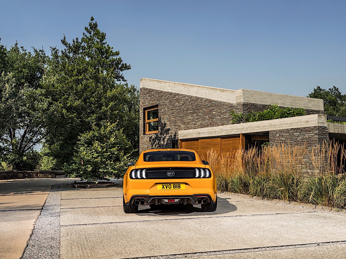 Ford Mustang photo 13