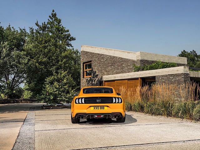 Ford Mustang photo 13