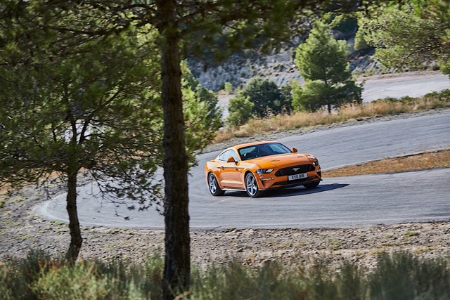 Ford Mustang photo 15