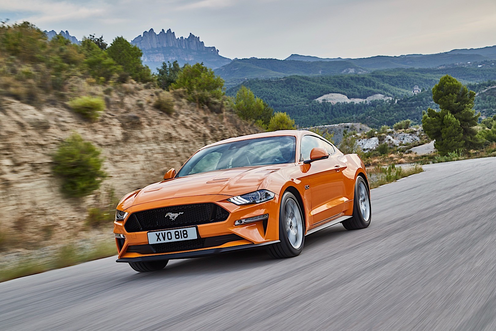 Ford Mustang photo 16