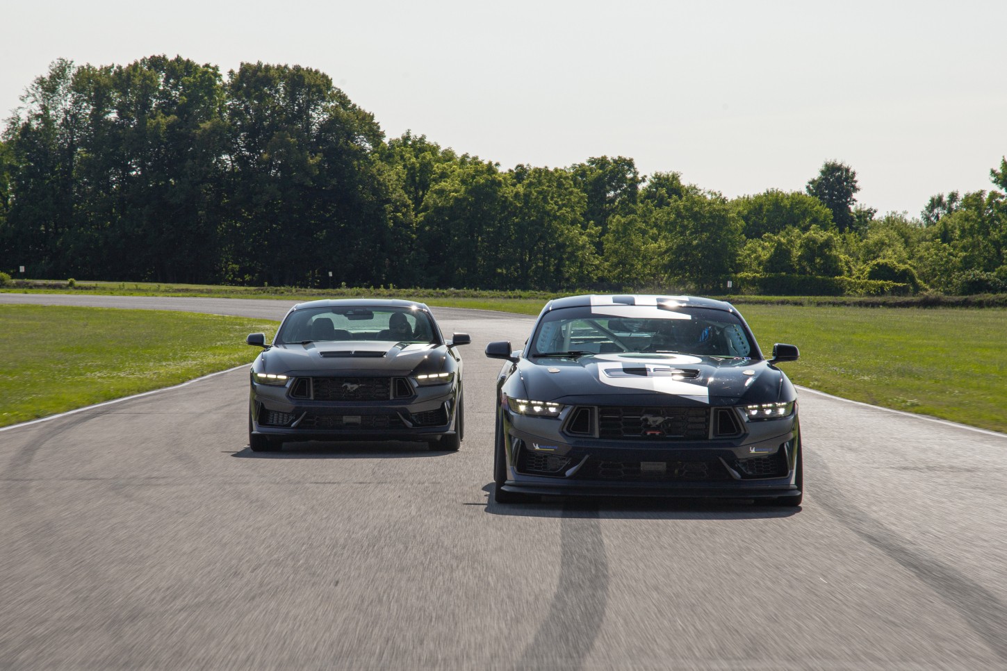 Ford Mustang photo 24