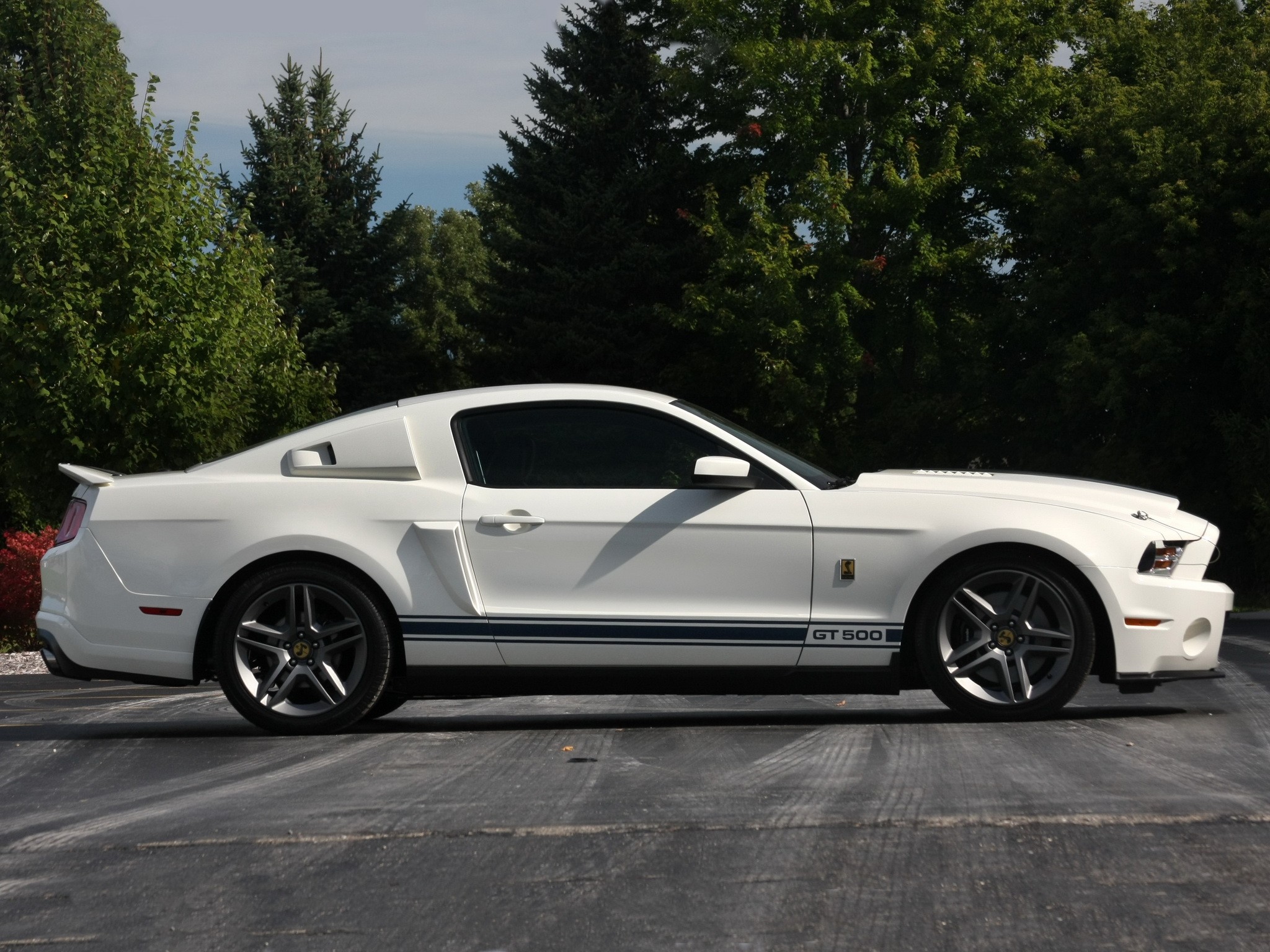 Ford Mustang photo 7