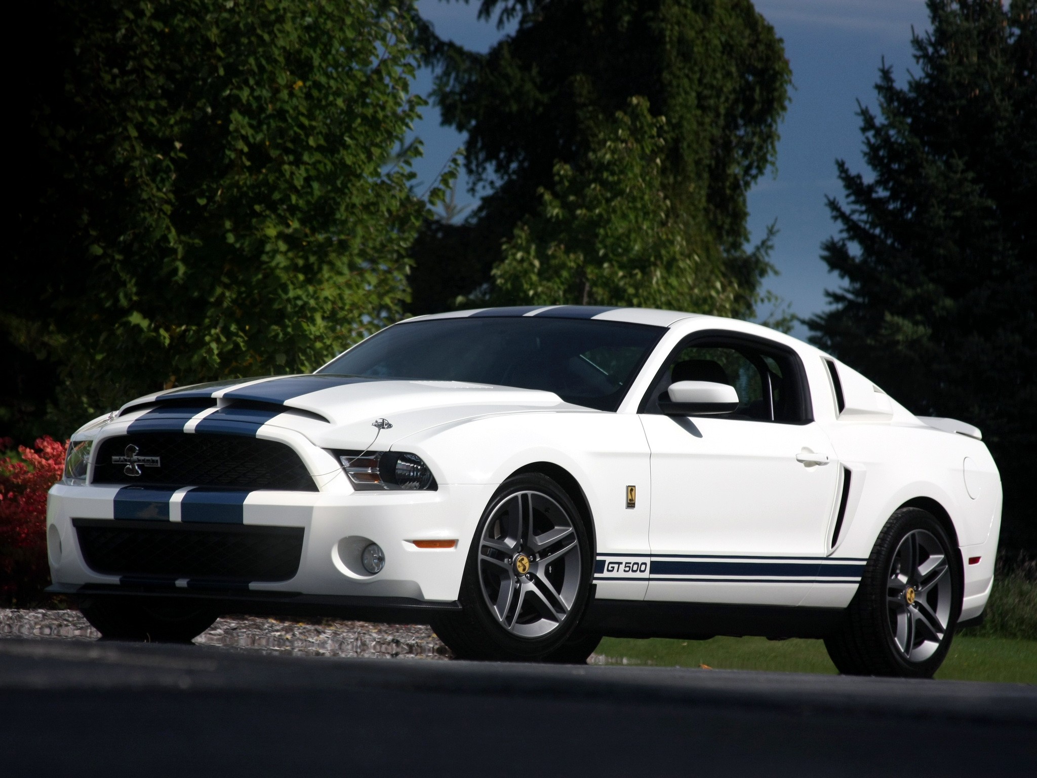 Ford Mustang photo 8