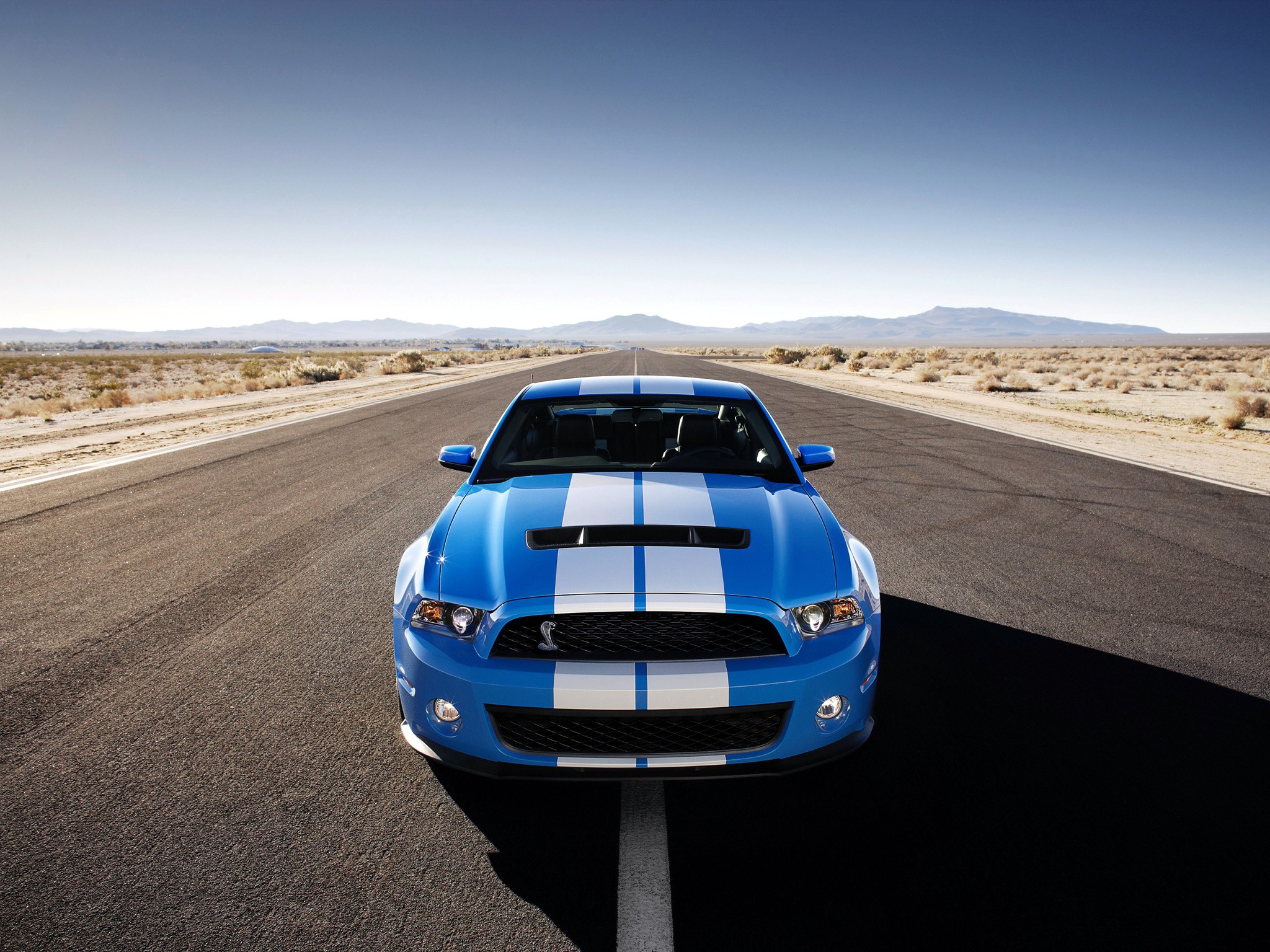 Ford Mustang photo 16