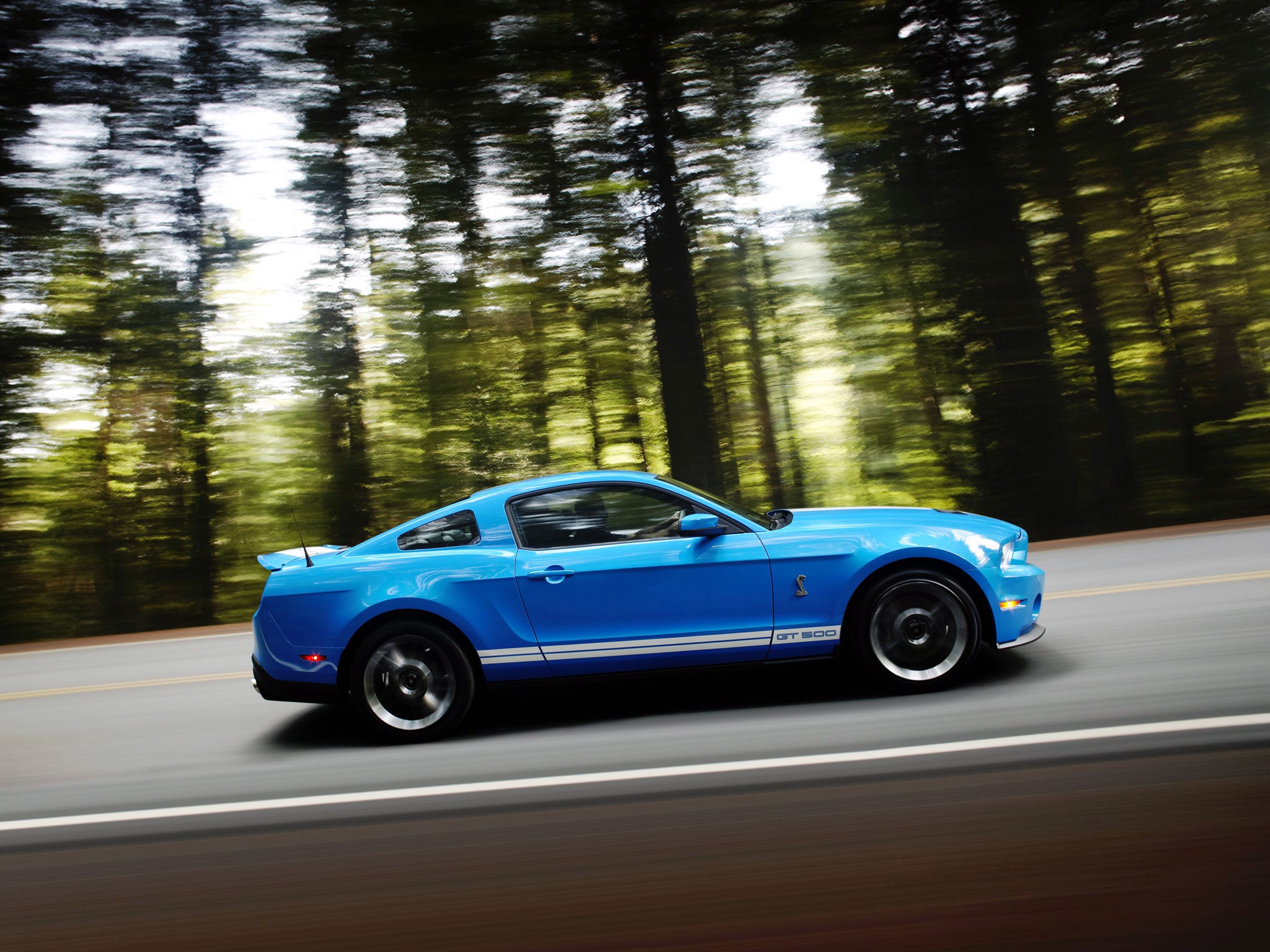 Ford Mustang photo 19