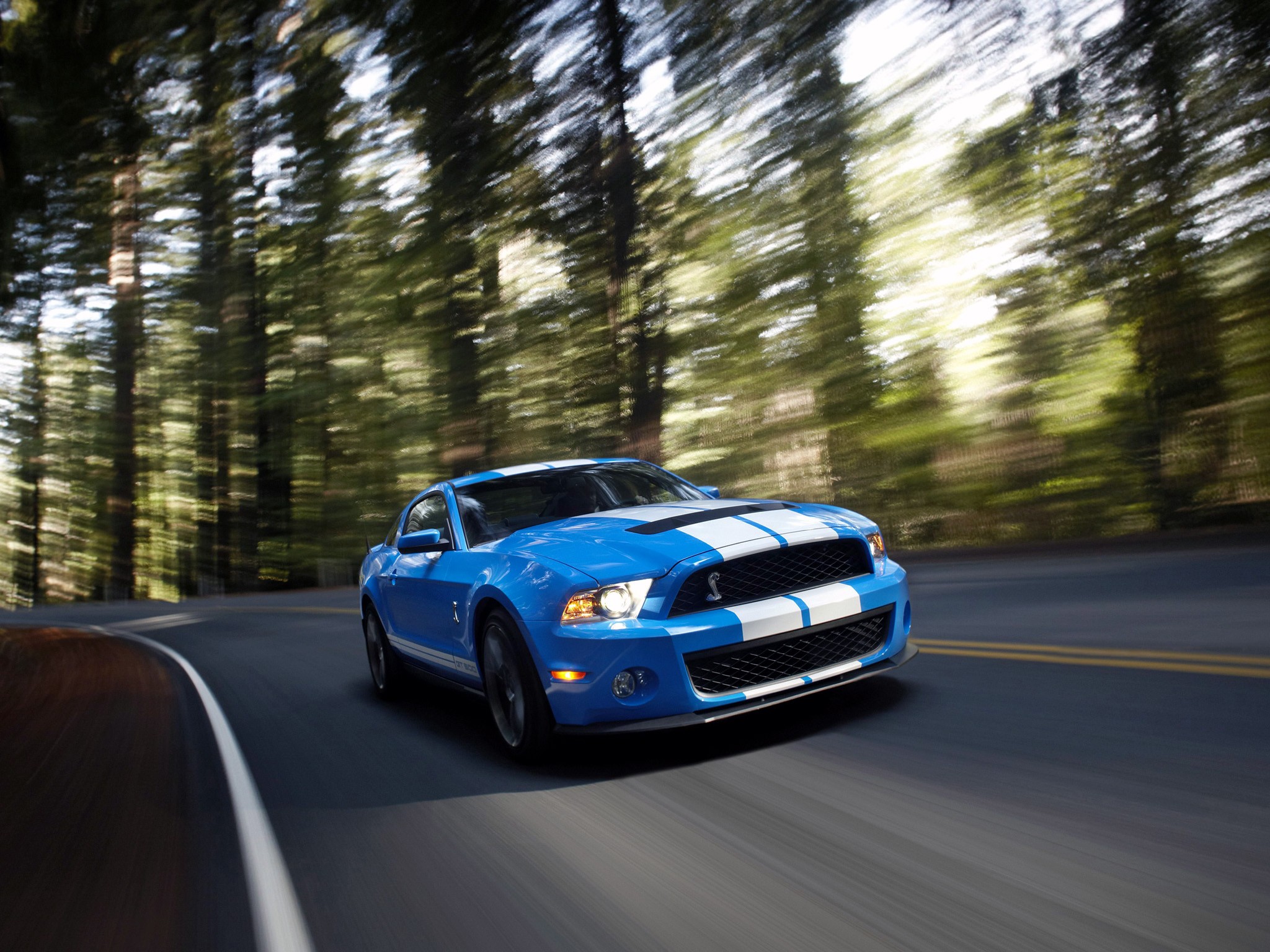 Ford Mustang photo 20