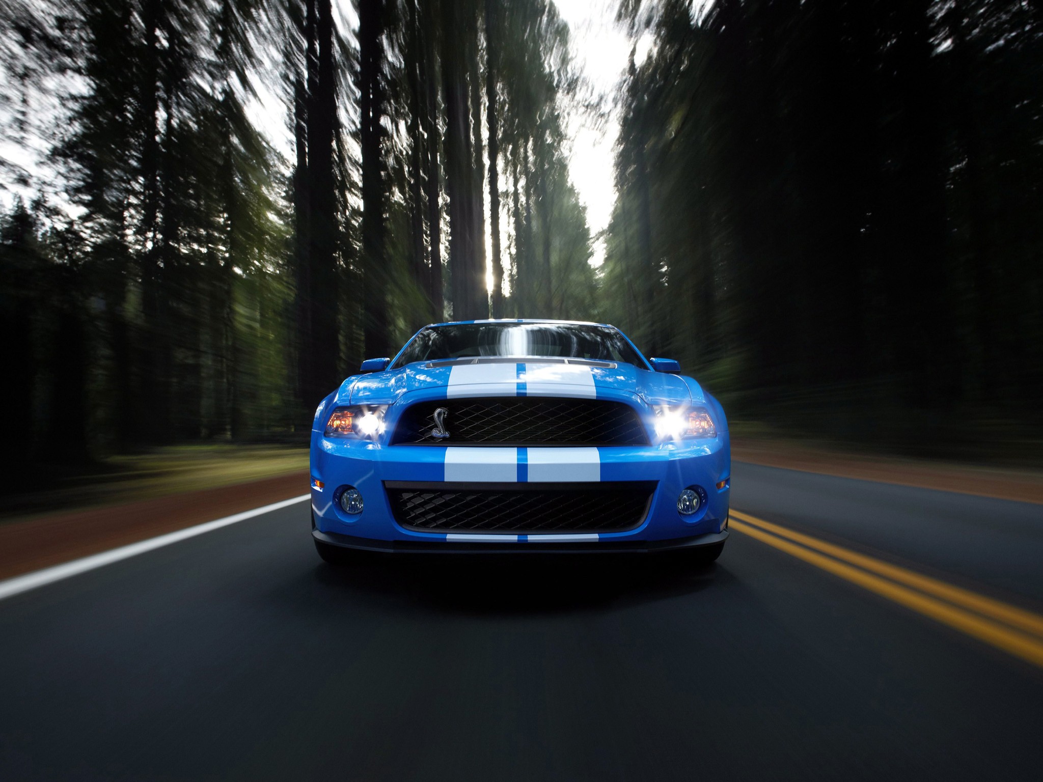 Ford Mustang photo 21