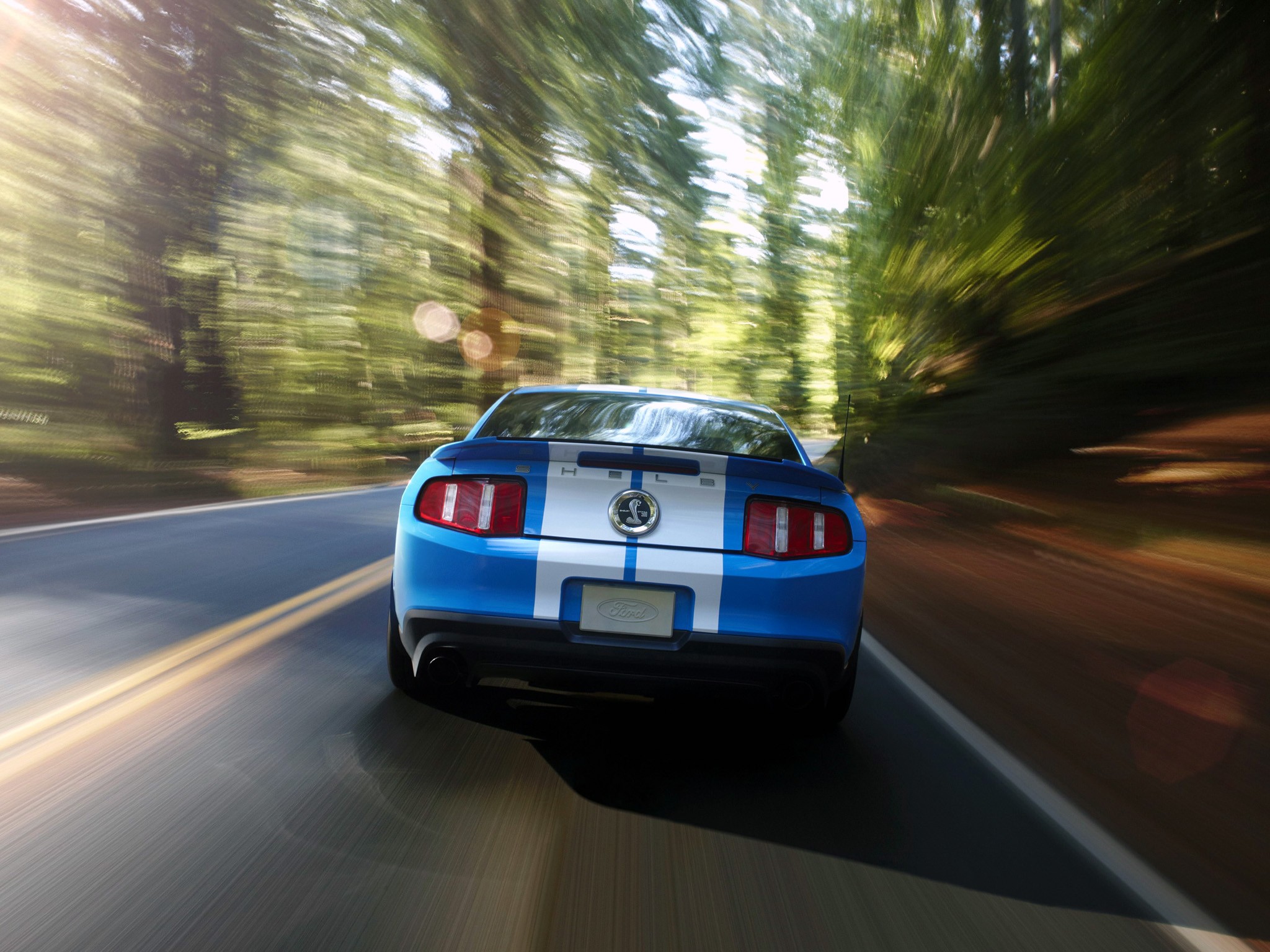 Ford Mustang photo 23