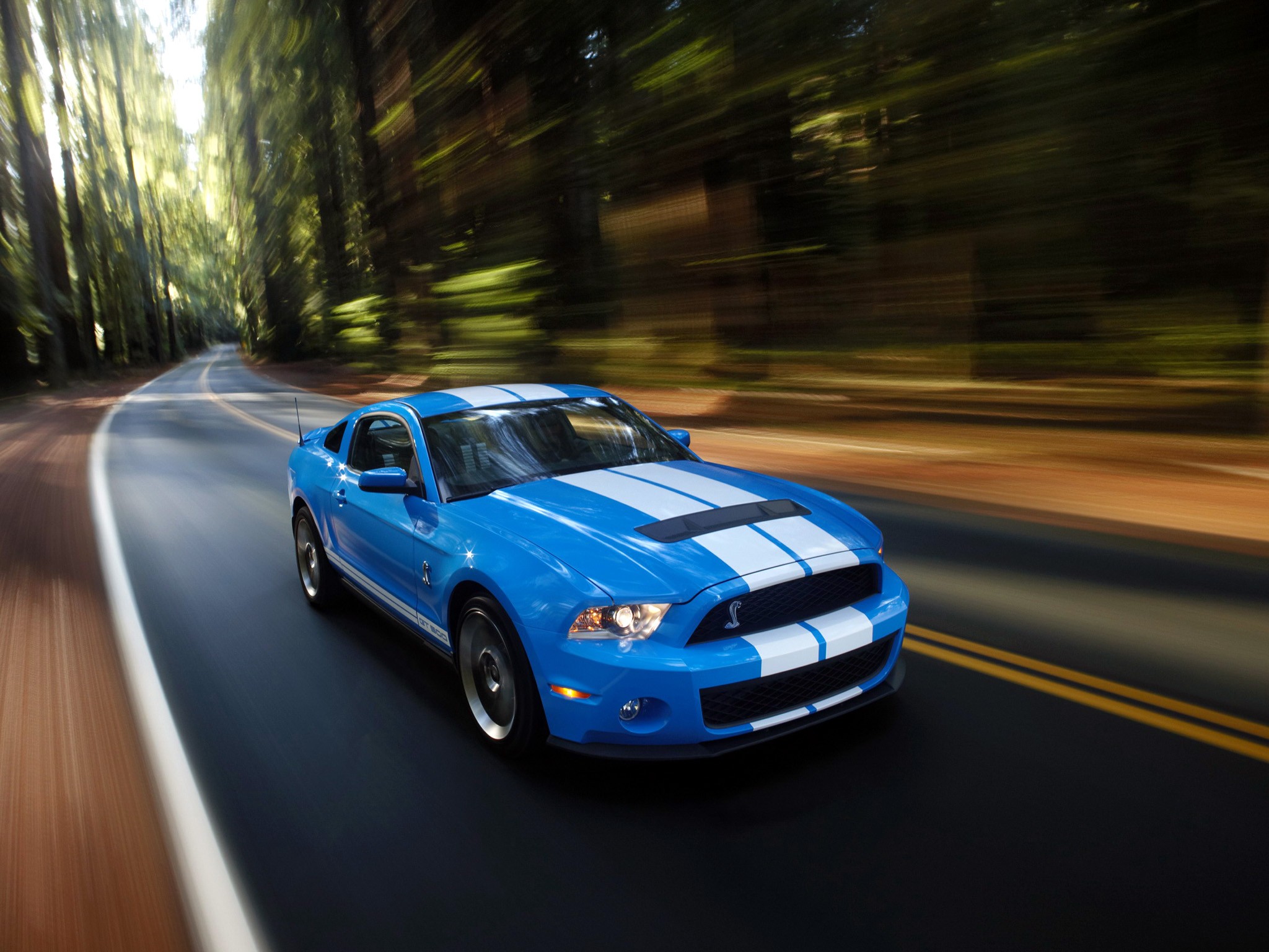 Ford Mustang photo 26