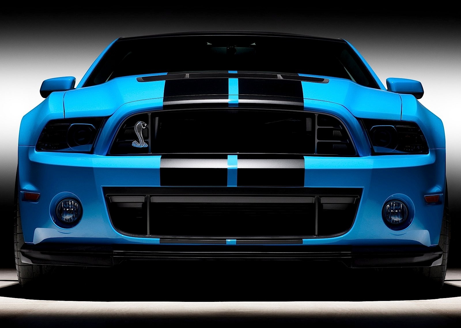 Ford Mustang photo 16