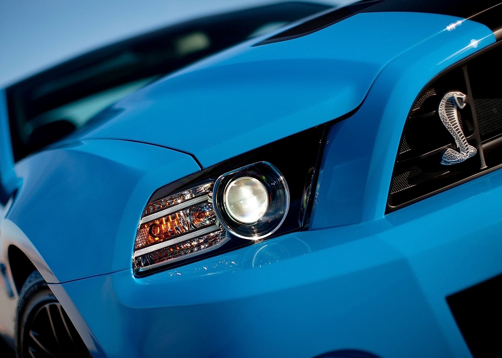 Ford Mustang photo 52