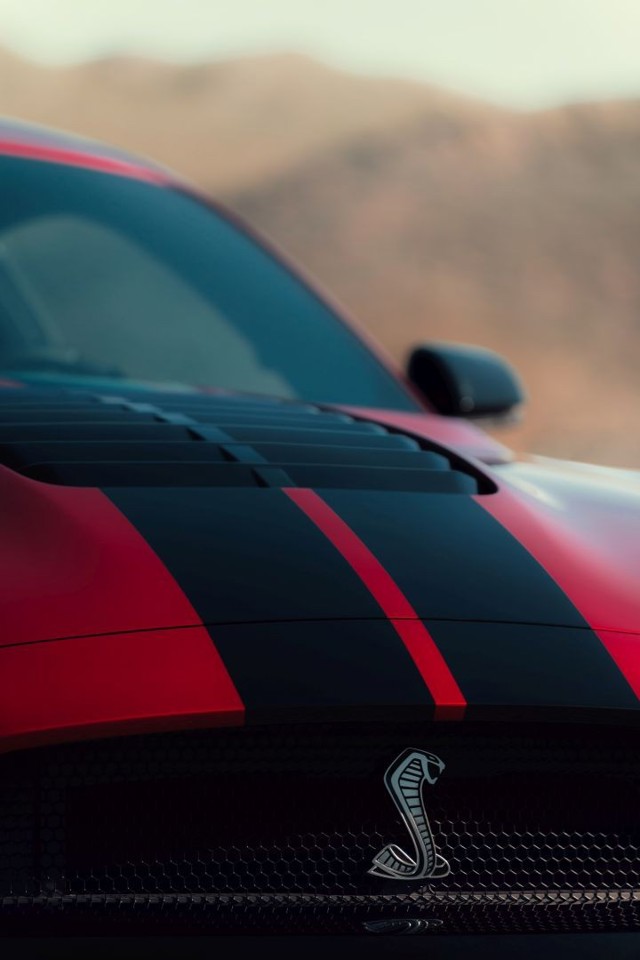 Ford Mustang foto 38