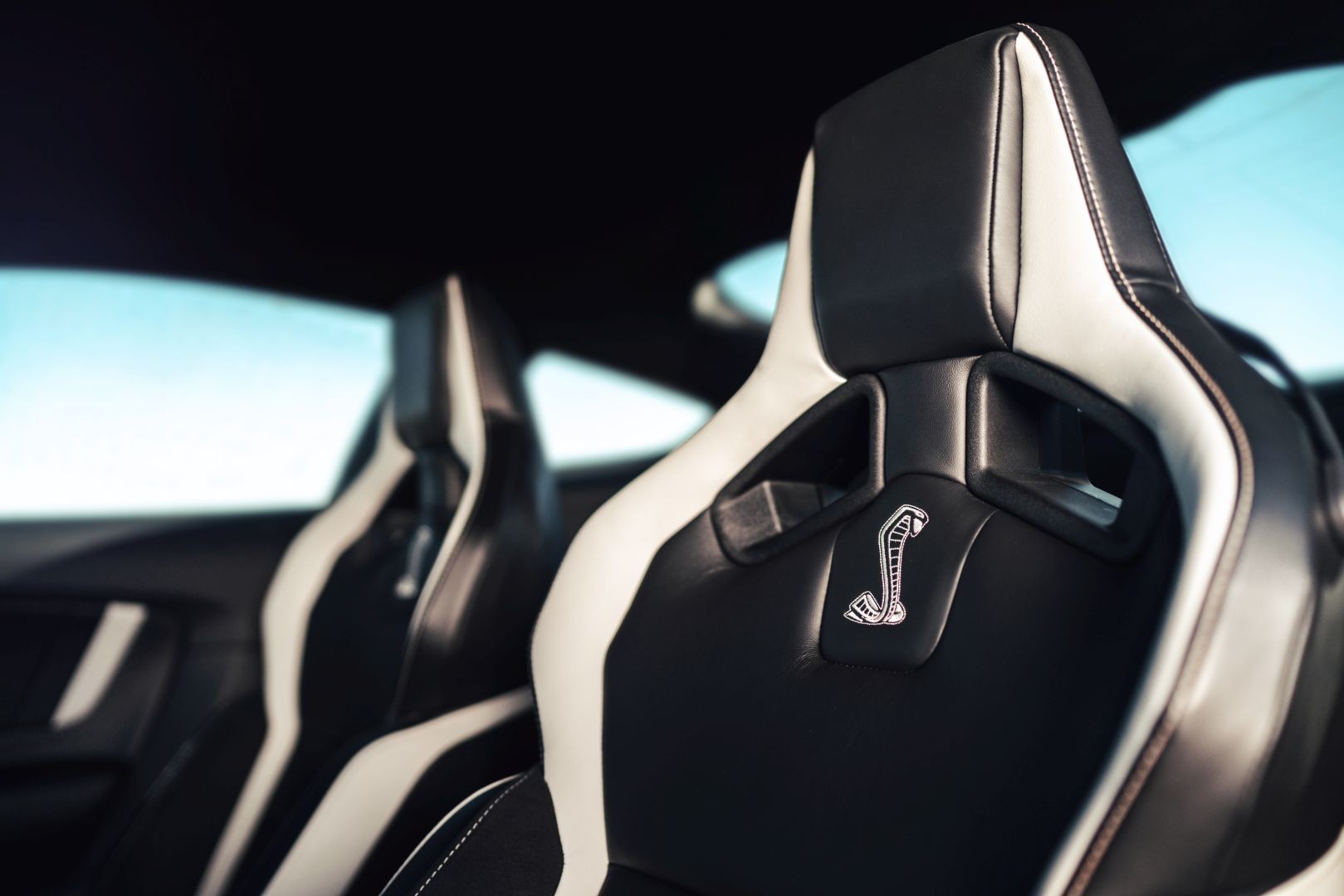 Ford Mustang photo 65