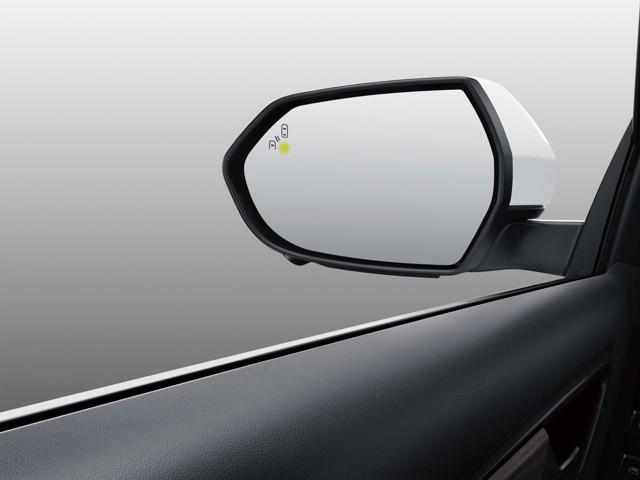 Ford Territory photo 4