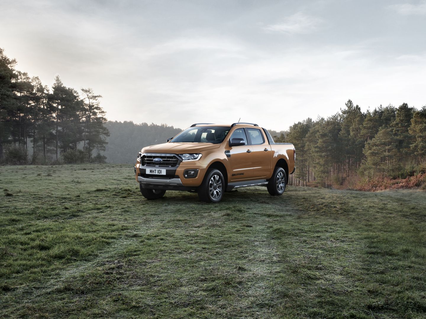 Ford Wildtrak photo 3