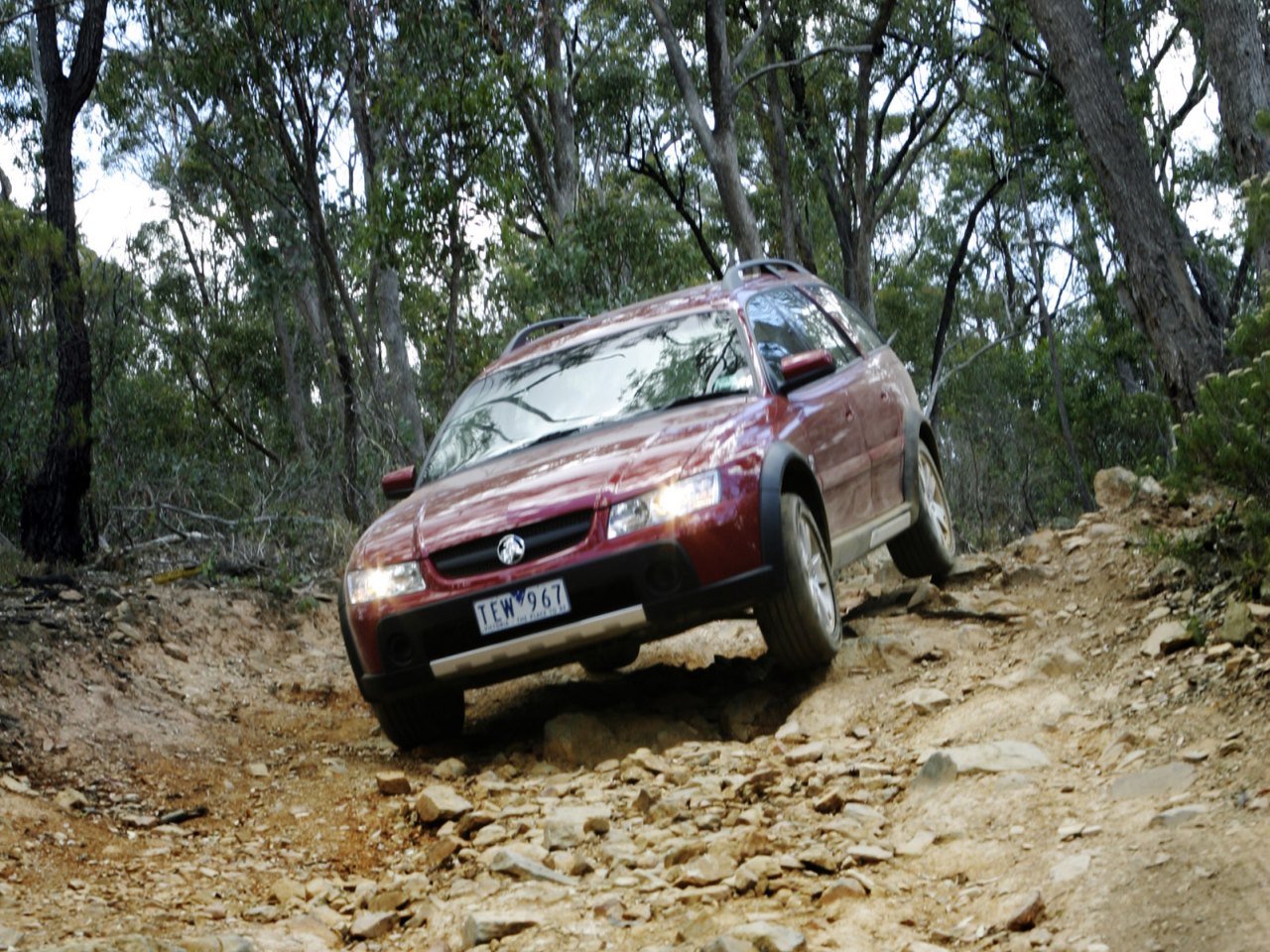 Holden Adventra photo 37