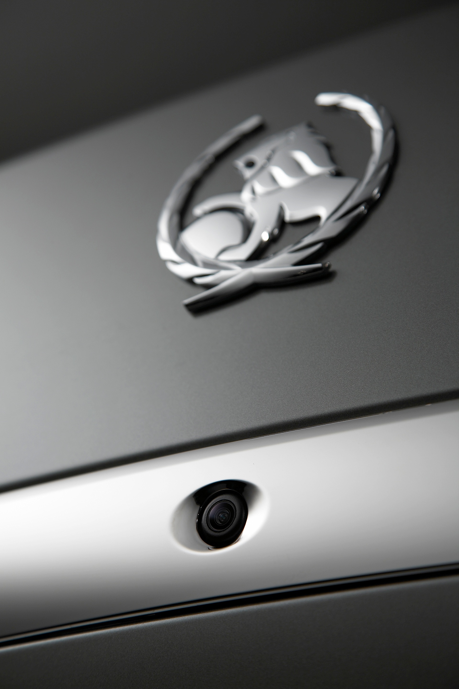 Holden Caprice/Statesman photo 13