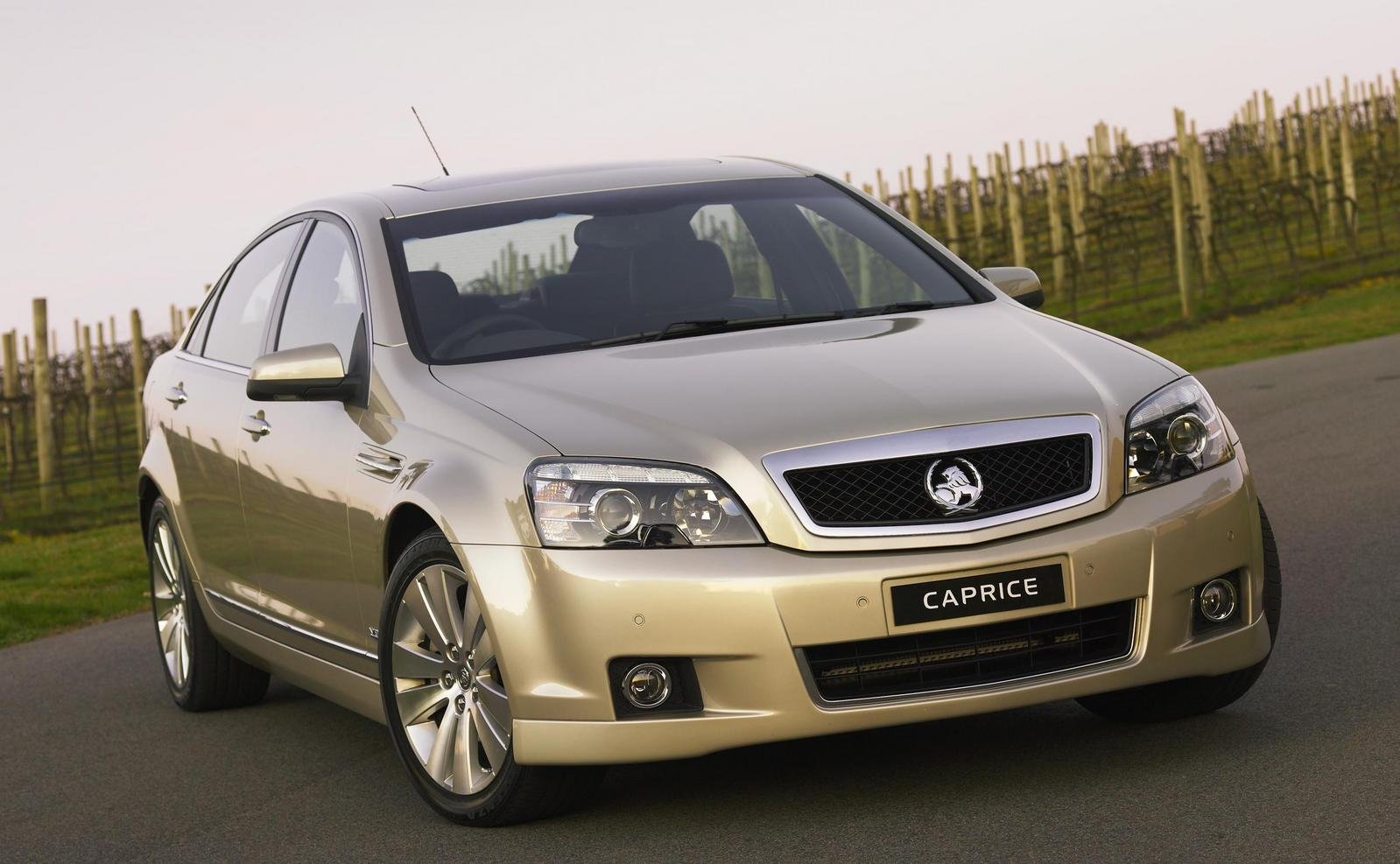 Holden Caprice/Statesman photo 14