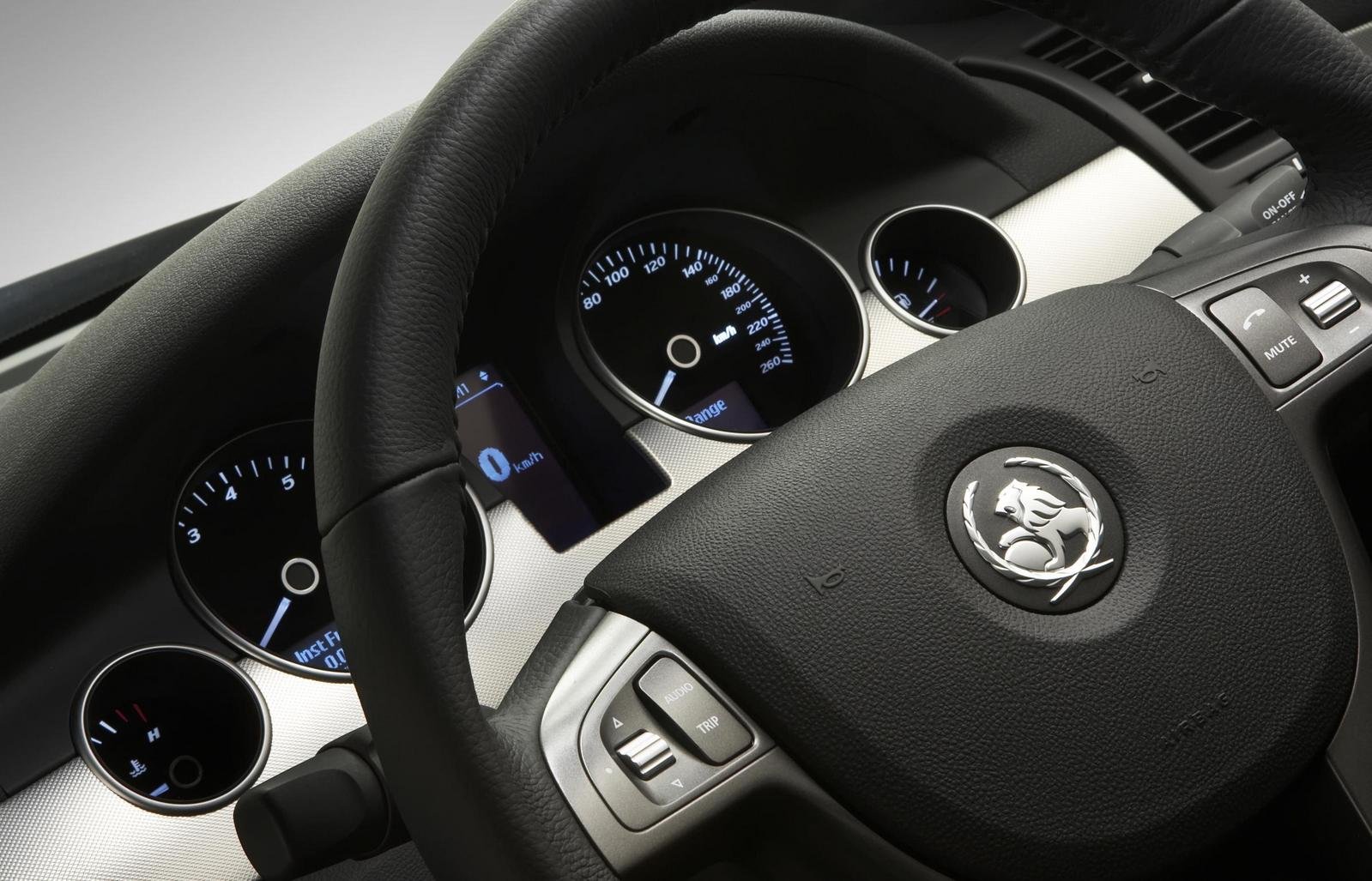 Holden Caprice/Statesman photo 30