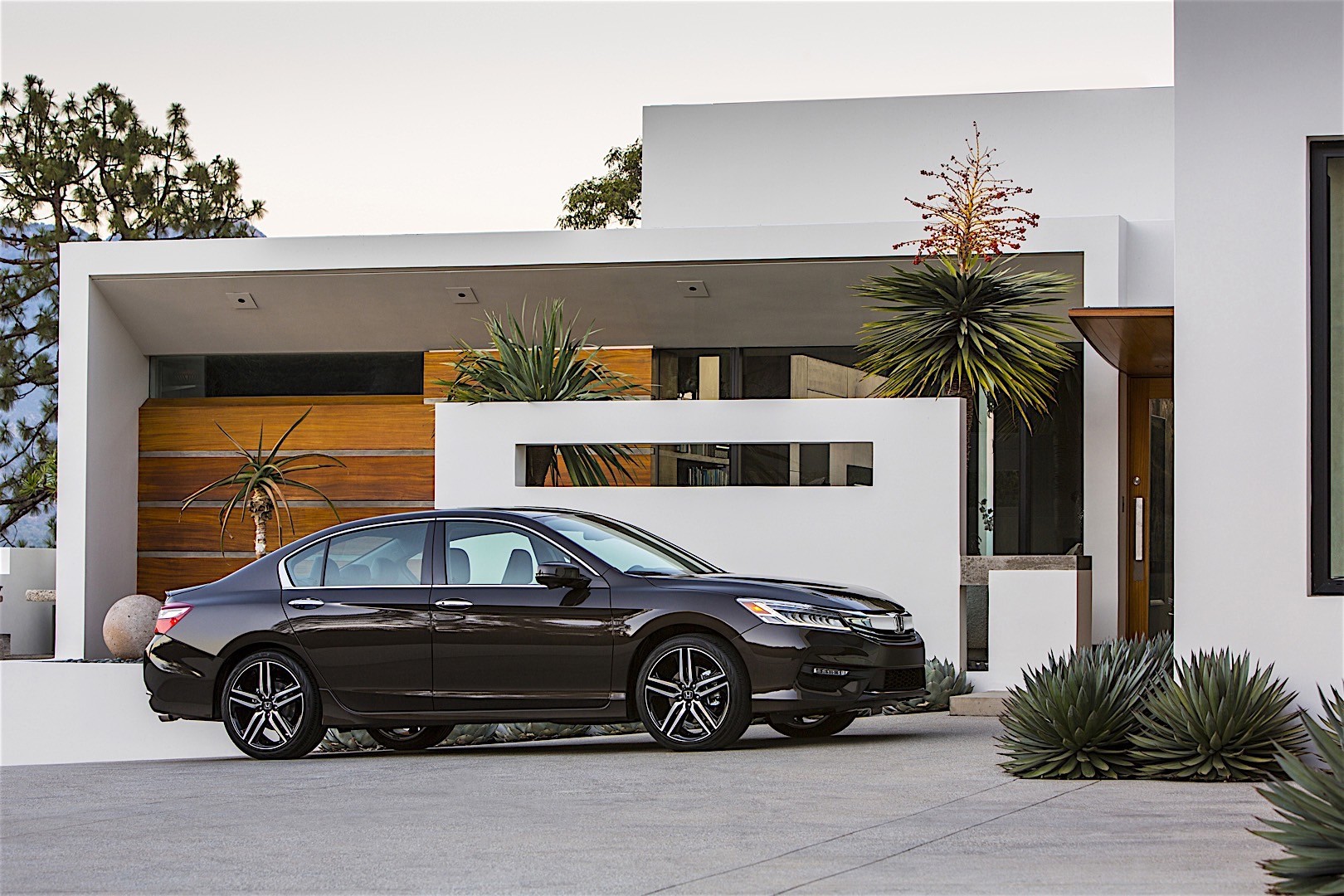 Honda Accord photo 12