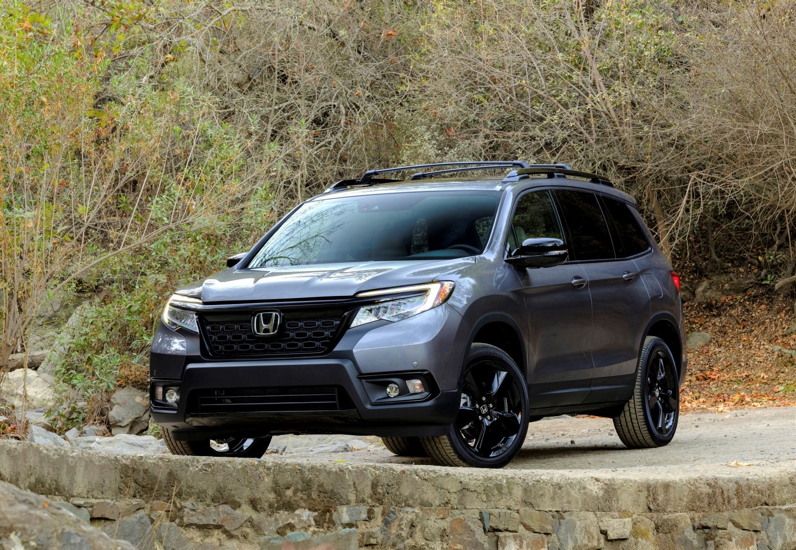 Honda Passport photo 15