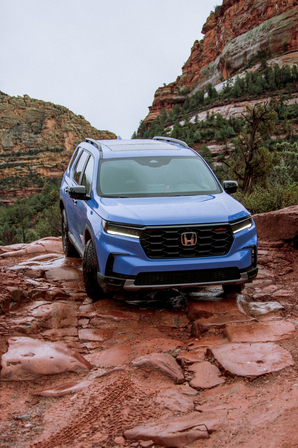 Honda Pilot photo 11