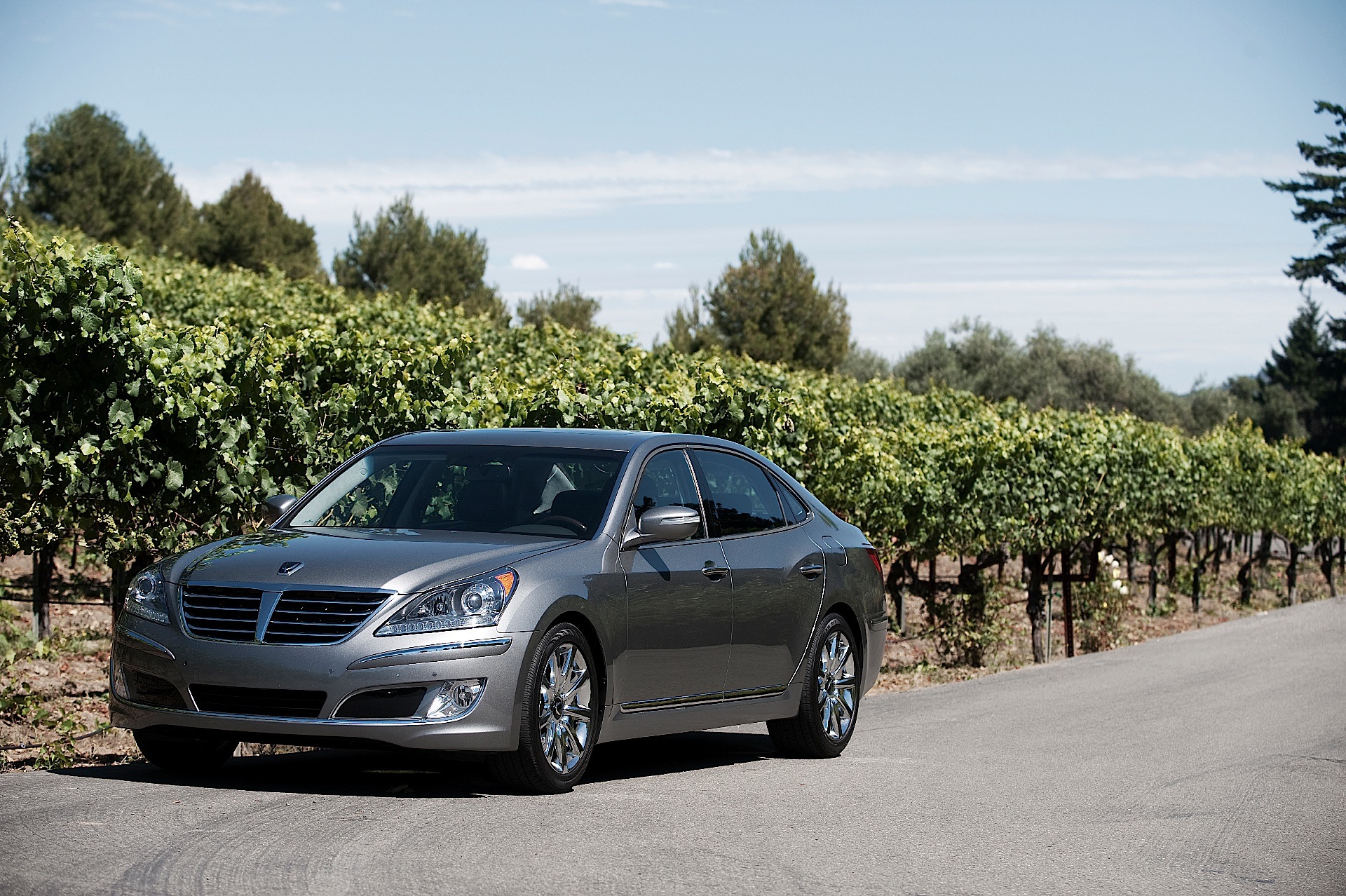 Hyundai Equus photo 42