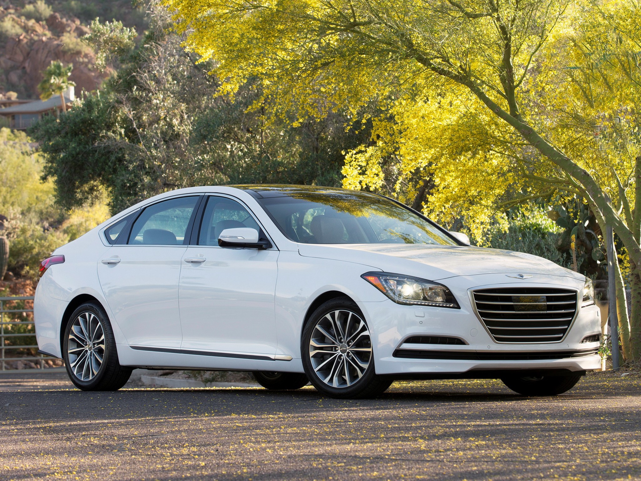 Hyundai Genesis photo 43