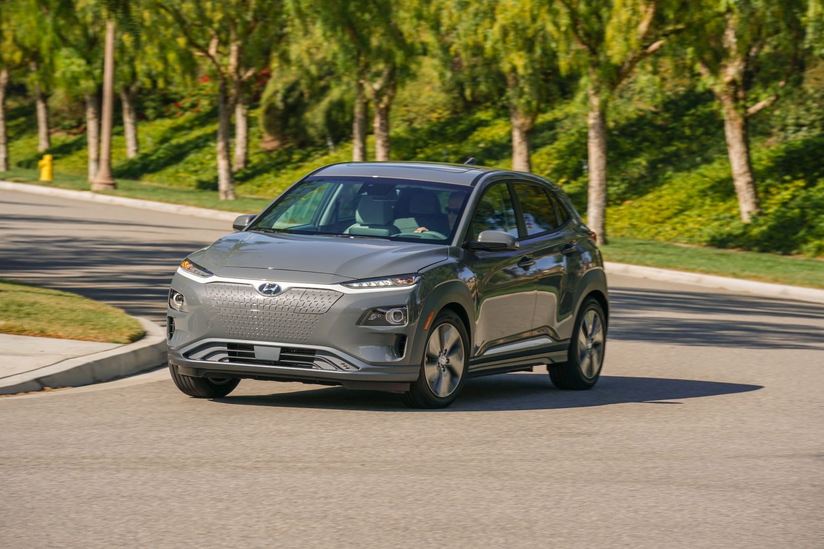 Hyundai Kona Electric photo 14