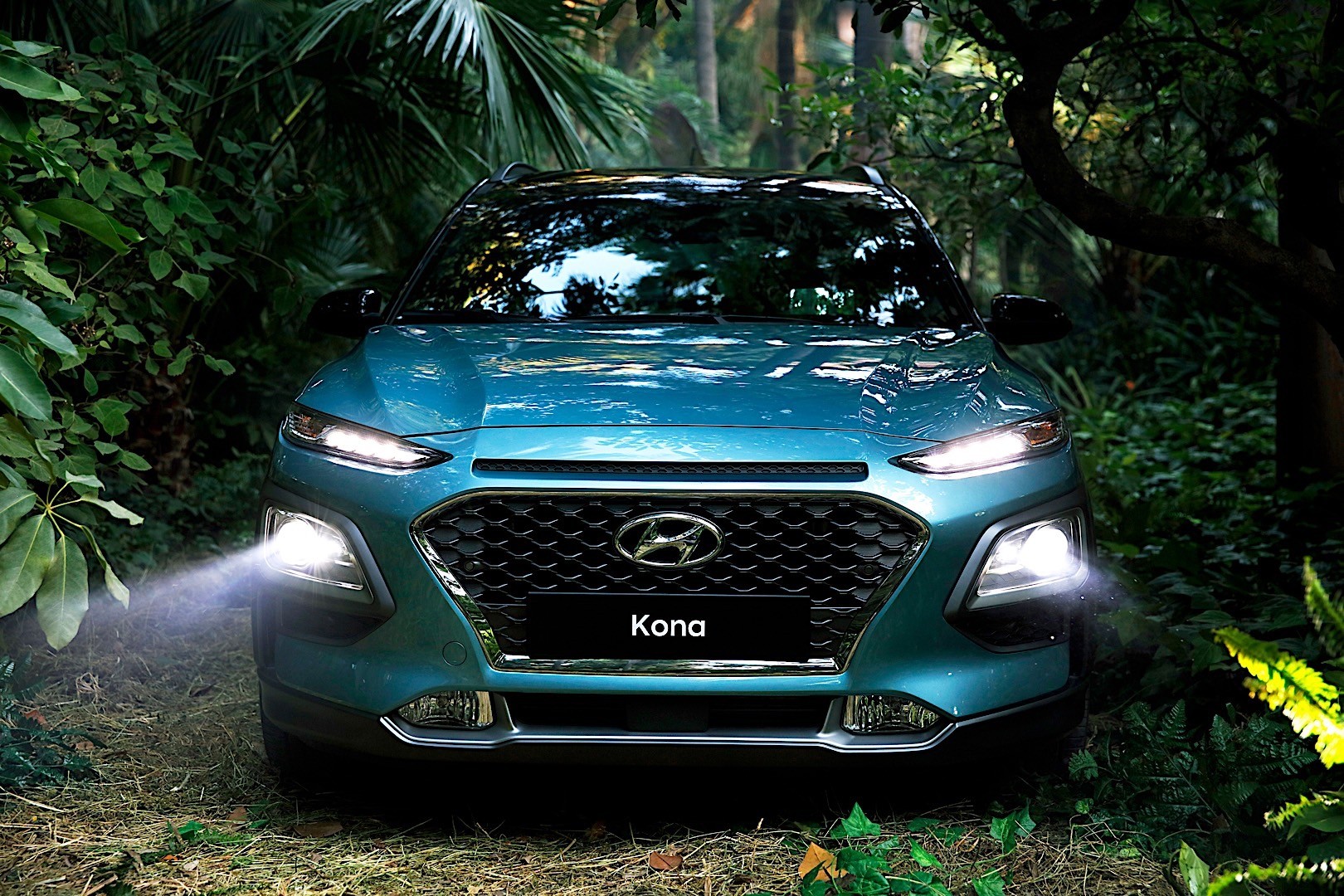 Hyundai Kona photo 5