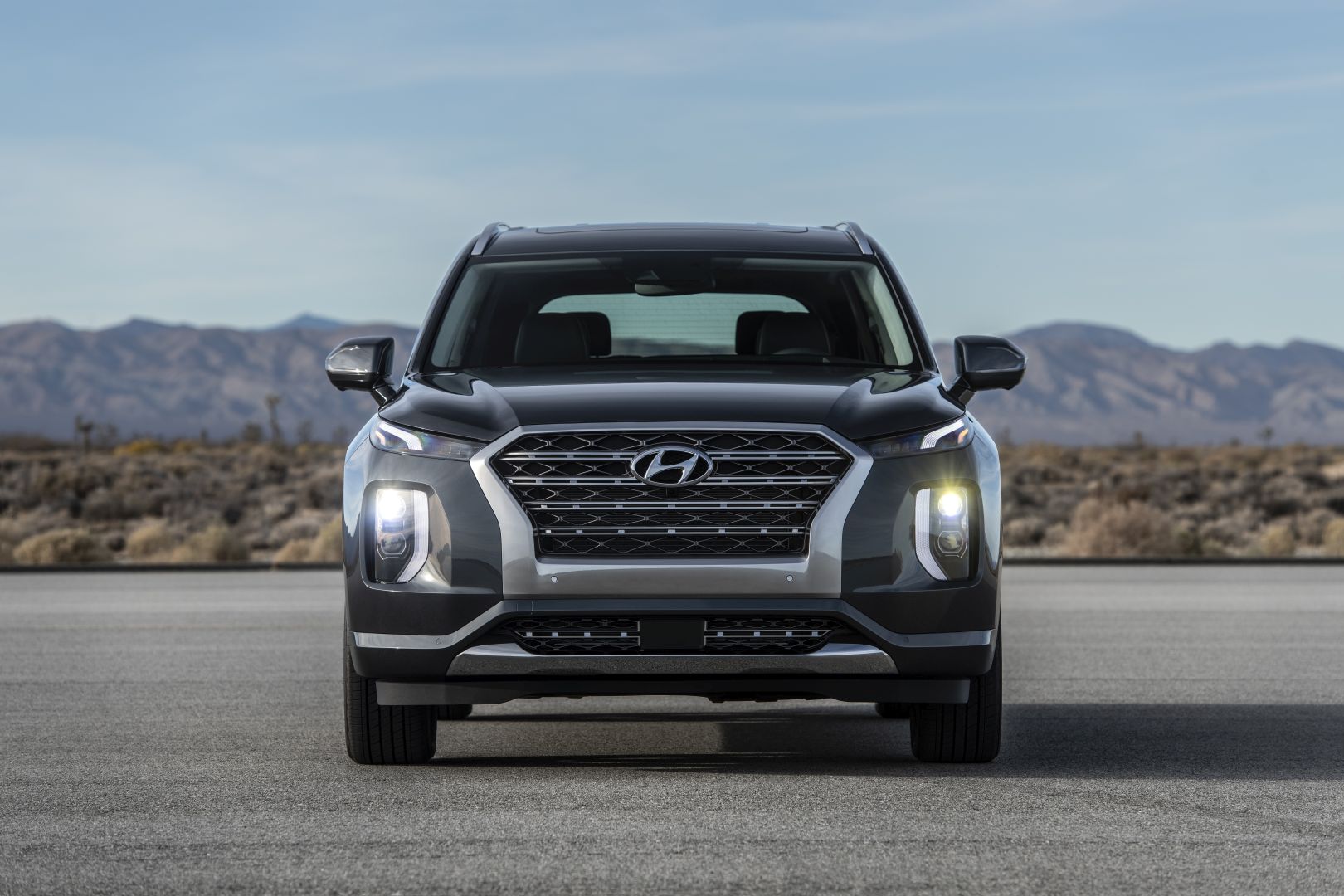 Hyundai Palisade photo 2