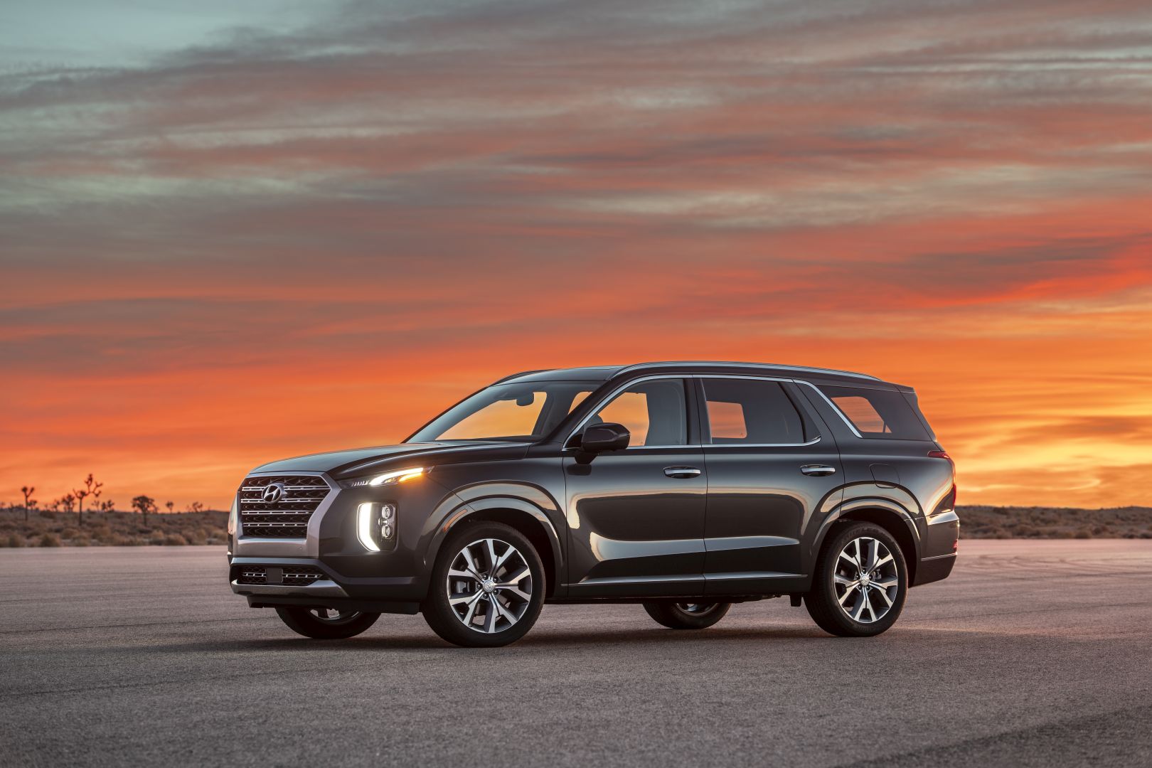 Hyundai Palisade photo 13