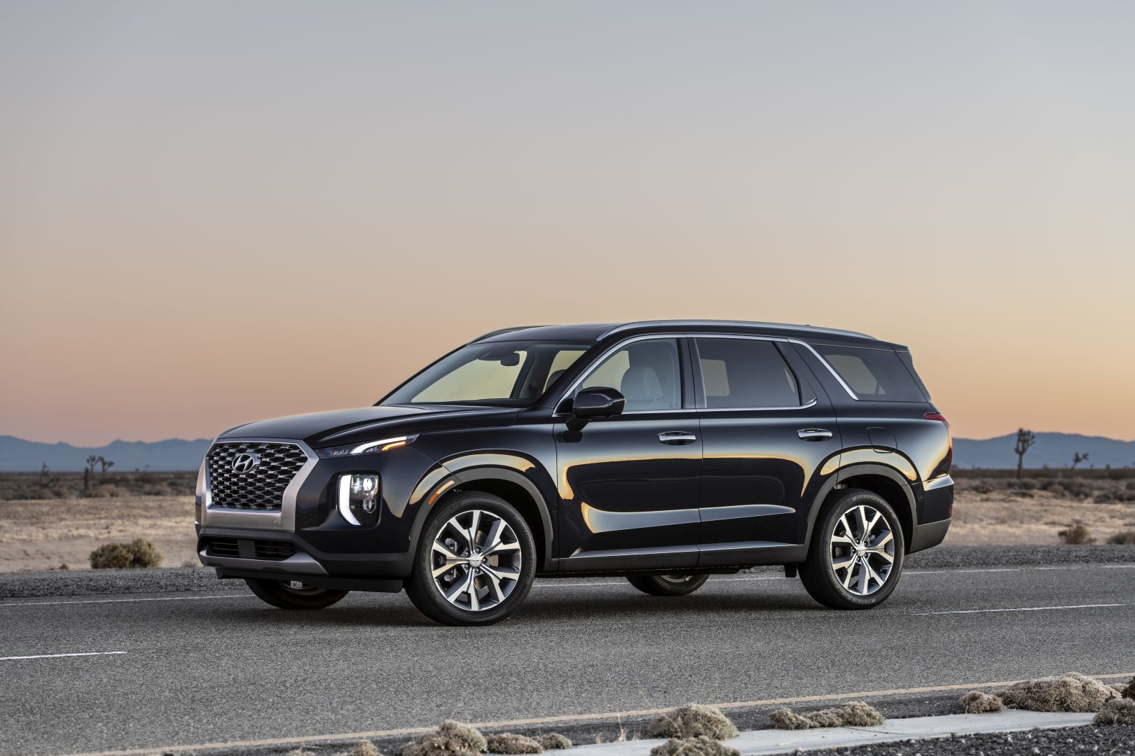 Hyundai Palisade photo 15