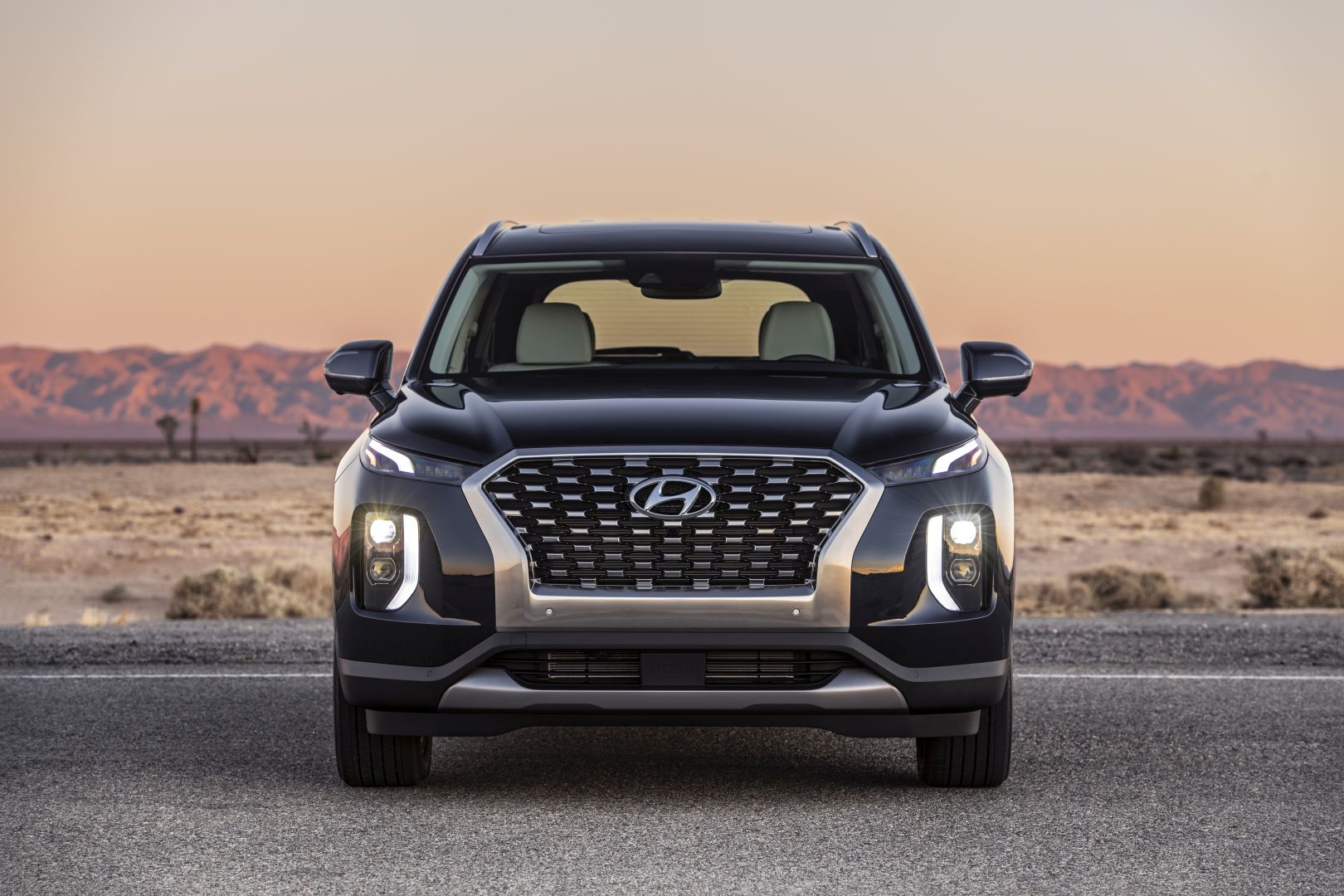 Hyundai Palisade photo 18