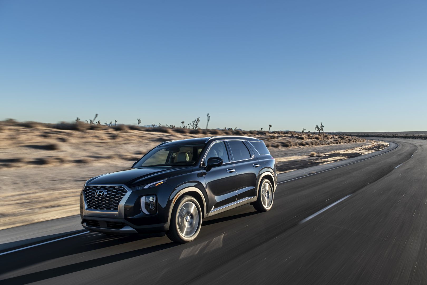 Hyundai Palisade photo 21