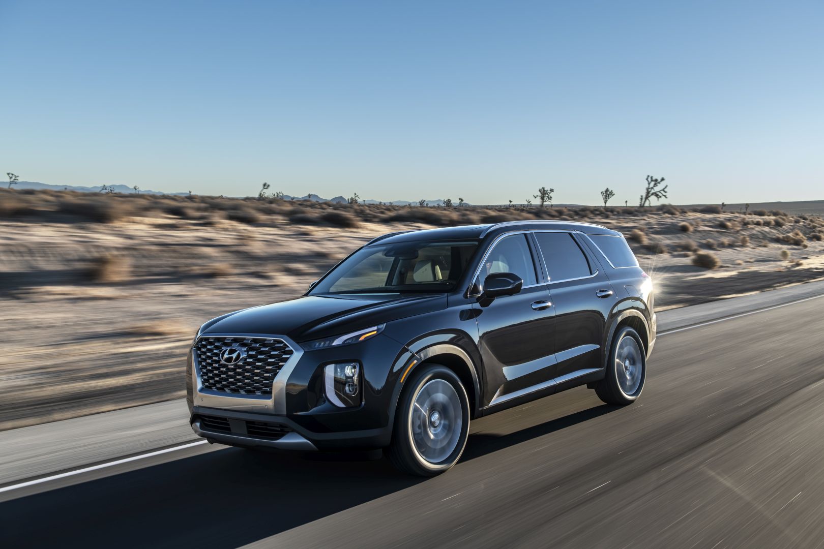 Hyundai Palisade photo 22
