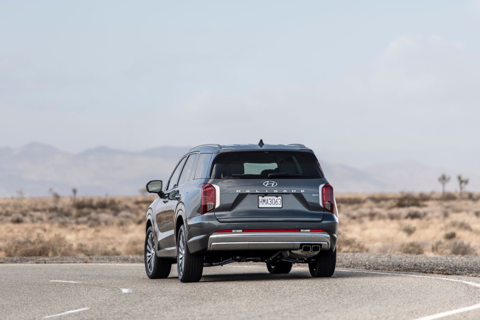 Hyundai Palisade photo 2