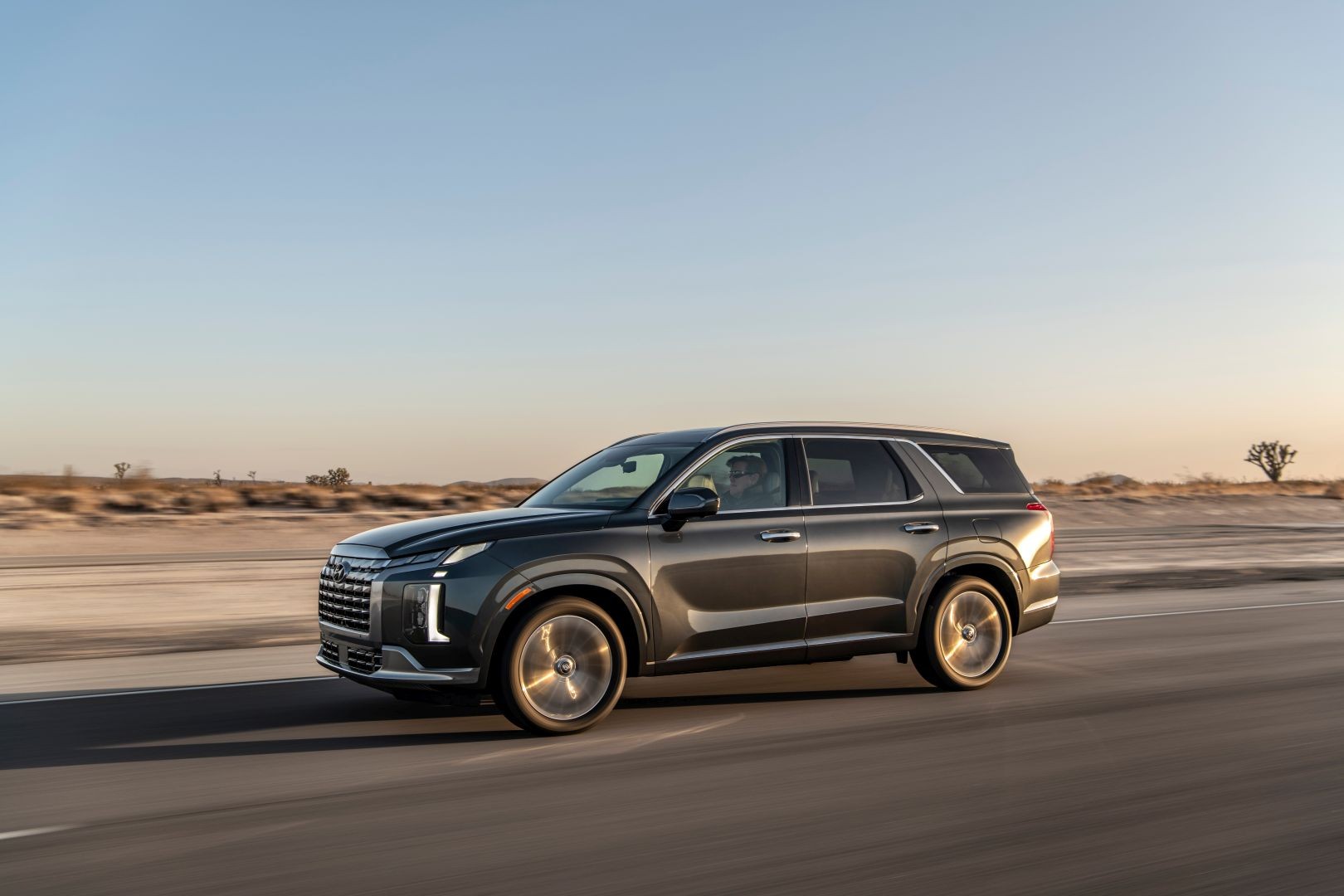Hyundai Palisade photo 7
