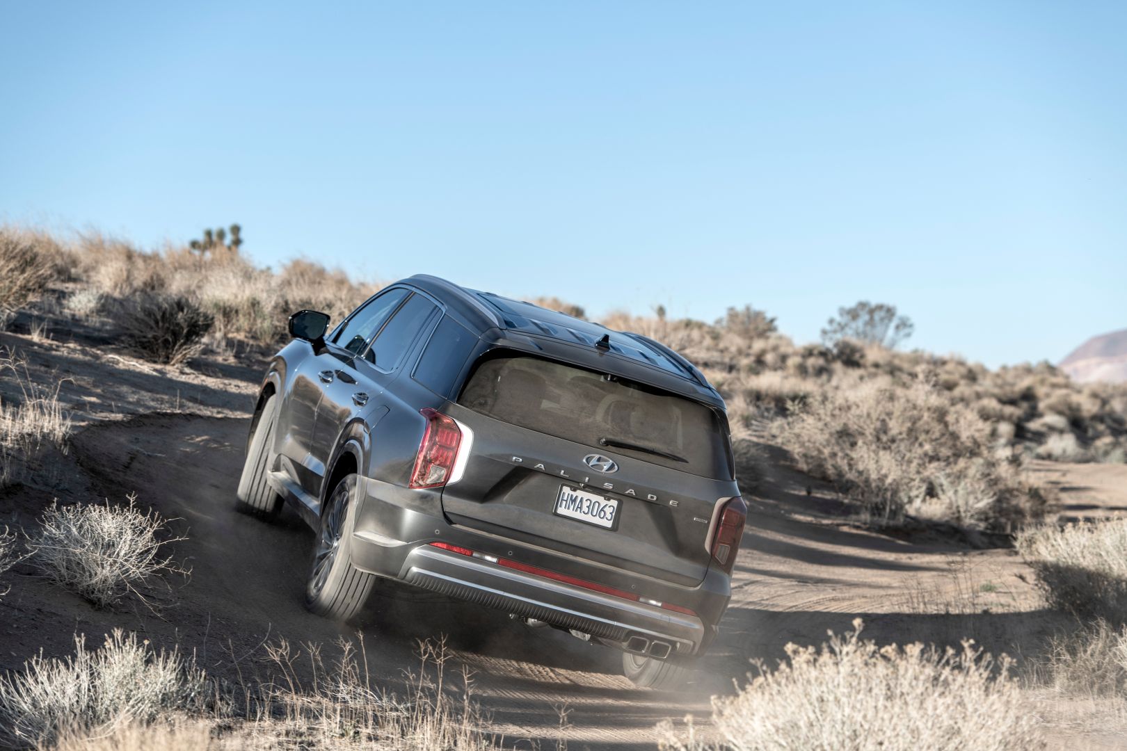 Hyundai Palisade photo 24