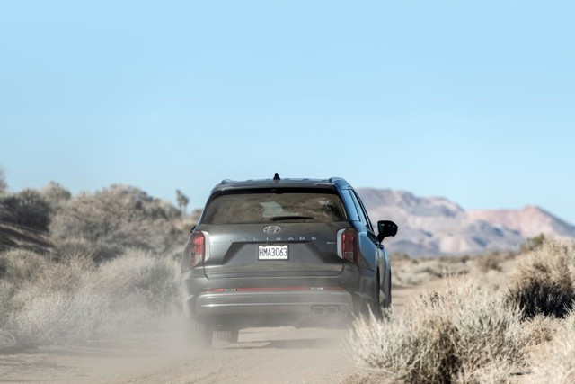 Hyundai Palisade photo 26
