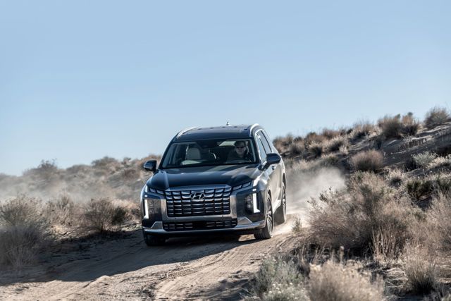 Hyundai Palisade photo 28