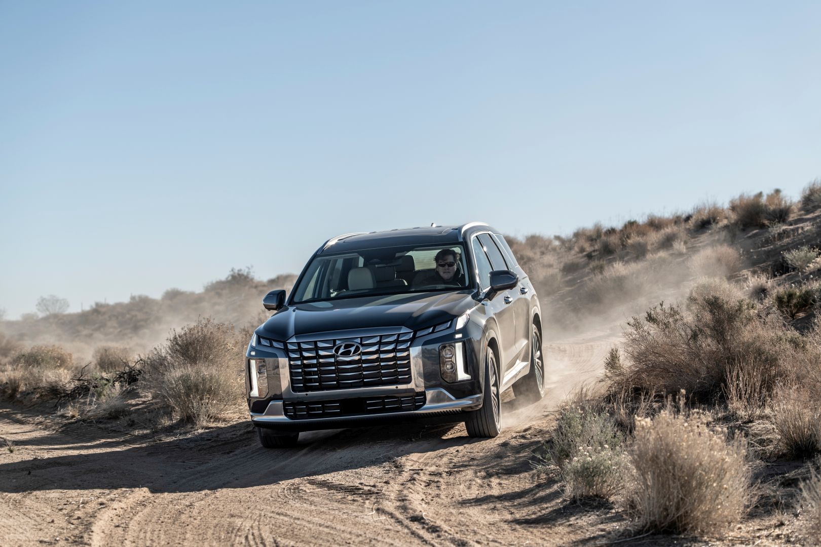 Hyundai Palisade photo 29