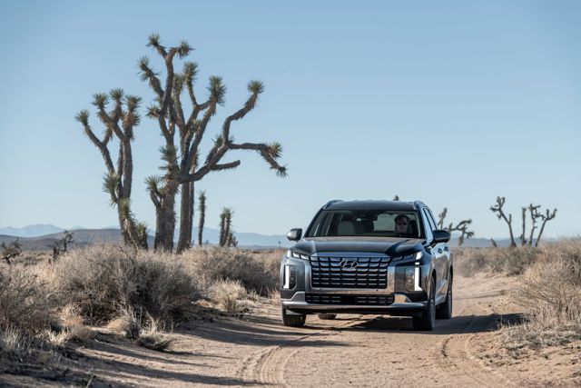 Hyundai Palisade photo 30