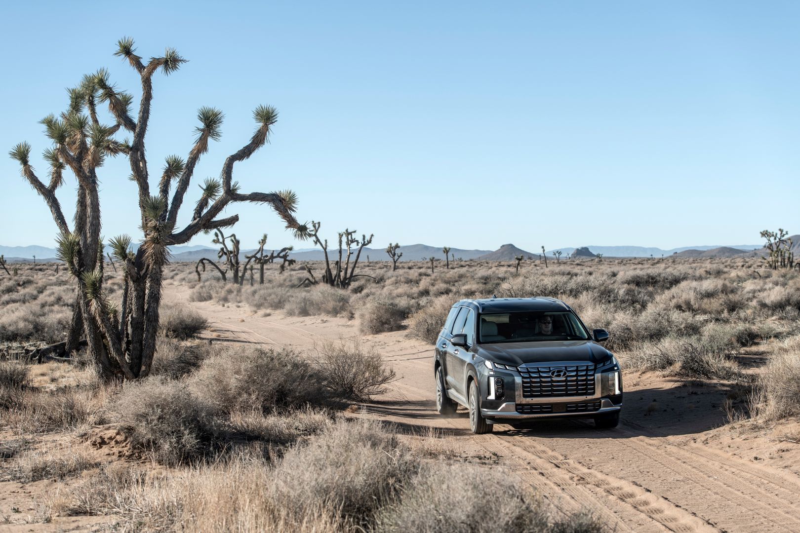 Hyundai Palisade photo 31